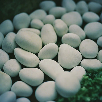 Top Trends in Garden Design: Incorporating Snow White Pebbles in New Jersey Homes