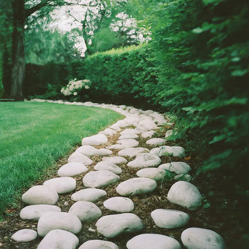 Why Should You Choose White River Rock for Your Garden Project?