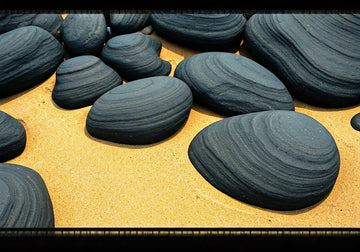 Unveiling the Charm of Black River Rock in New Jersey Homes