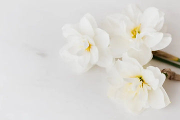 Transform Your Outdoor Spaces with the Timeless Beauty of White Marble Pebbles
