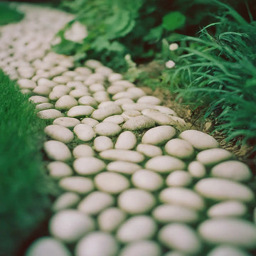 How to Create a Serene Oasis with Snow White Pebbles