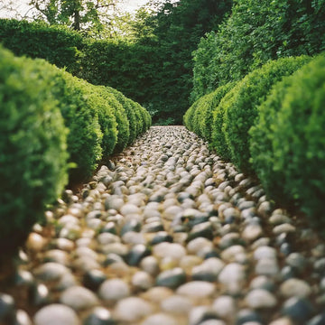 Why New Jersey Homeowners are Choosing Landscape Pebbles for Sustainable Gardening