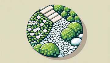 7 Ways Snow White Pebbles Can Transform Your Garden into a Magical Oasis
