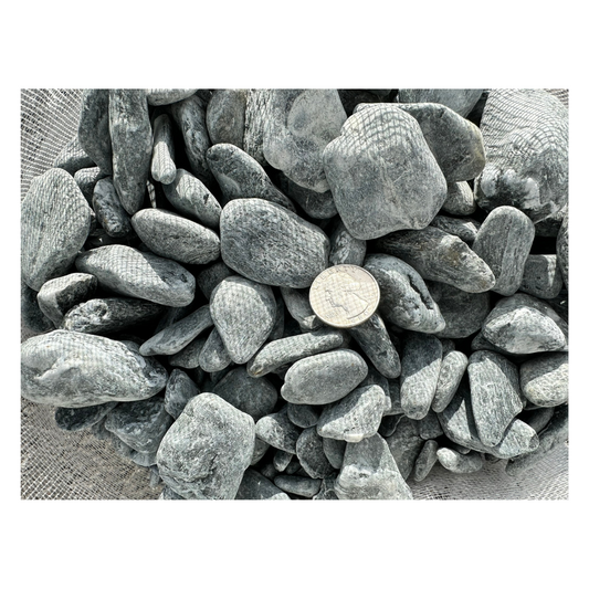 Nightfall - Tumbled Schist Pebbles