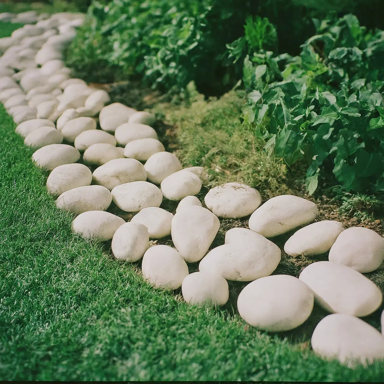 The Ultimate Guide to Selecting White River Rock for Your Garden Projects