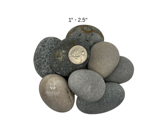 Multicolored Mexican Beach Pebble