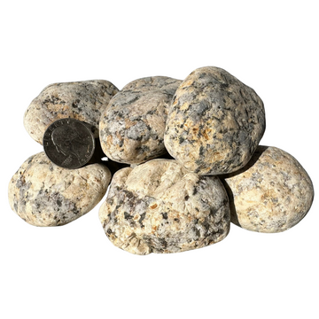 Golden Nugget - Tumbled Yellow Granite Pebbles